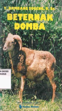 Image of Beternak Domba