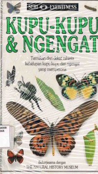 Image of Kupu-kupu & Ngengat