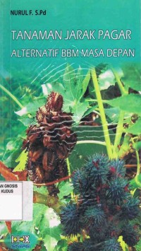 Image of Tanaman Jarak Pagar Alternatif BBM Masa Depan